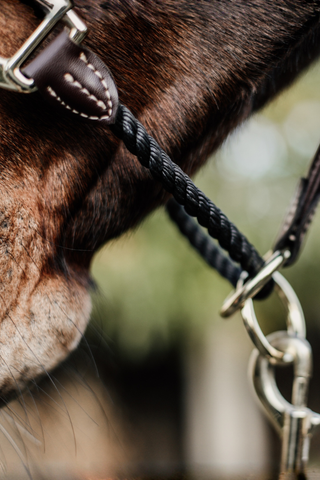 Kentucky Horsewear Repgrimma Läder