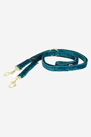 Laisse pour chien Velvet