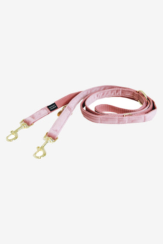 Laisse pour chien Velvet