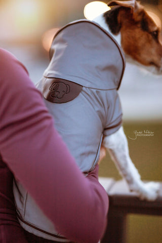 Manteau pour chien réfléchissant