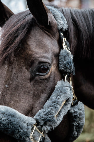 Lammeskindsgrime Grå