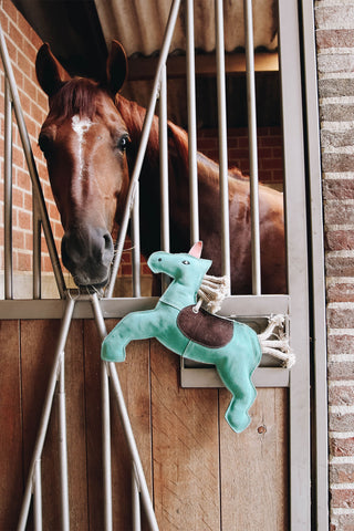 Paardenspeelgoed Eenhoorn