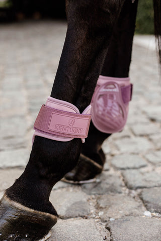 Young Horse Hind Boots Old Rose