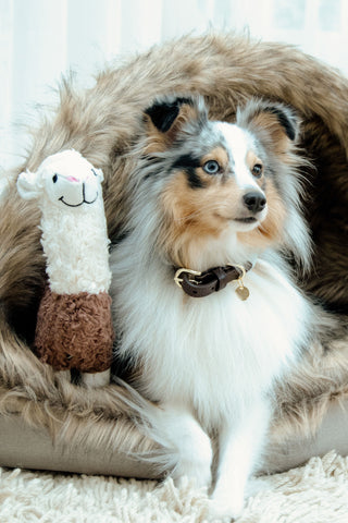 Alpaca Alfredo Hondenspeelgoed