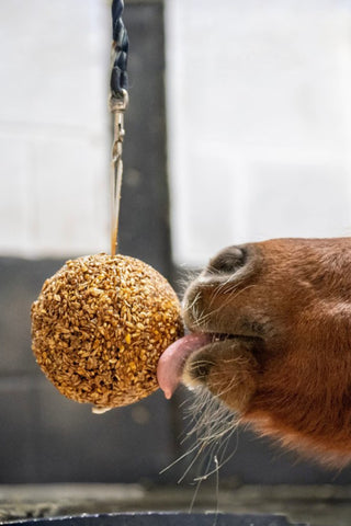 Likit Granola Boll