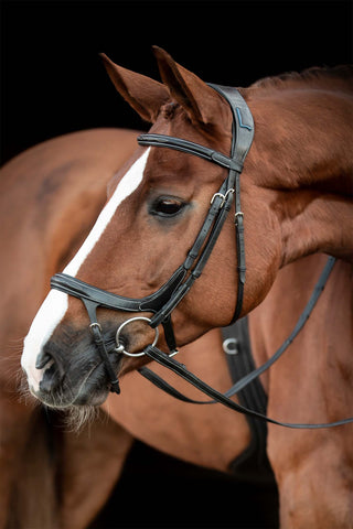 Fazzino Bridle