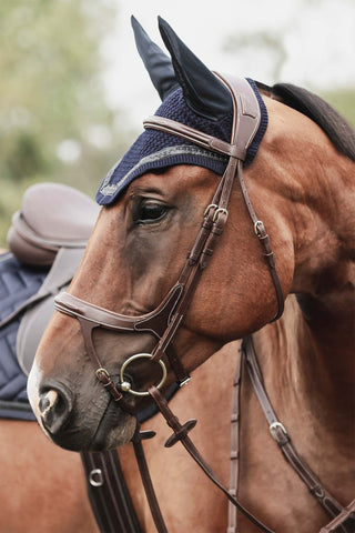 Fazzino Bridle