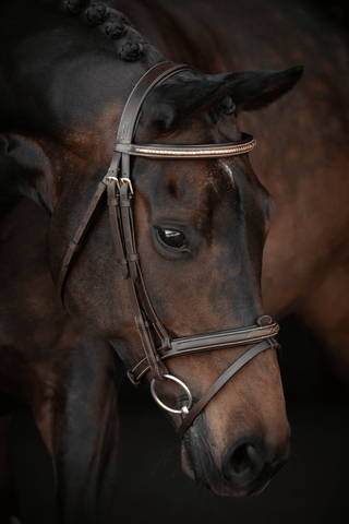 Trense Preston Fancy Chocolate