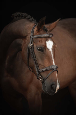 Trense Supreme Fancy Braun