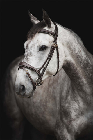 Trense Supreme Fancy Braun