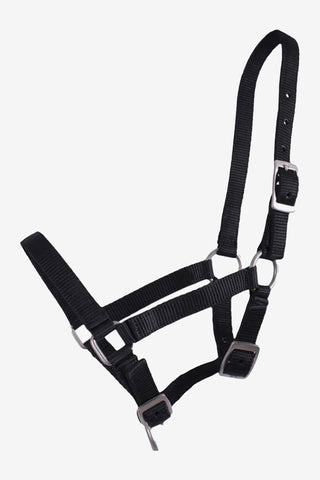 Fohlenhalfter Schwarz