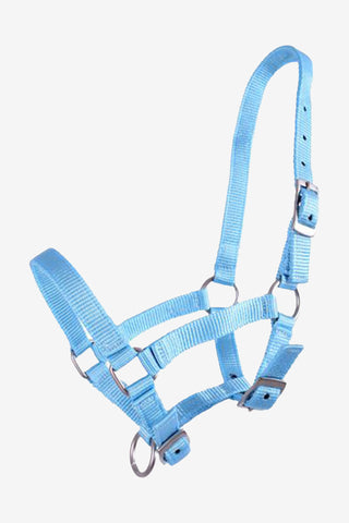 Fohlenhalfter Hellblau