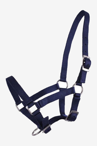 Fohlenhalfter Navy