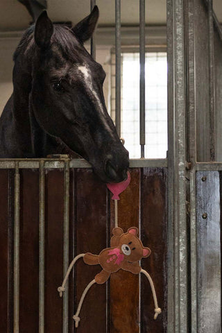 Horse Toy Valentine Bear