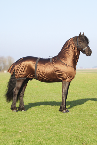 Eczeemdeken Big Neck Bruin