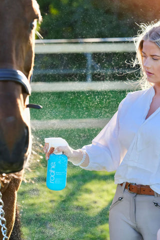 Coat Shine Time To Shine