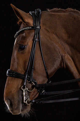 Kensington Double Bridle