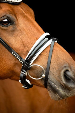 Noseband Lacquer