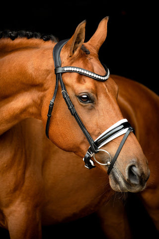 Noseband Lacquer