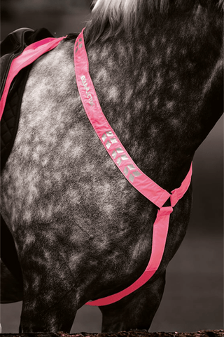 Shires Equi-Flector Förbygel Reflex