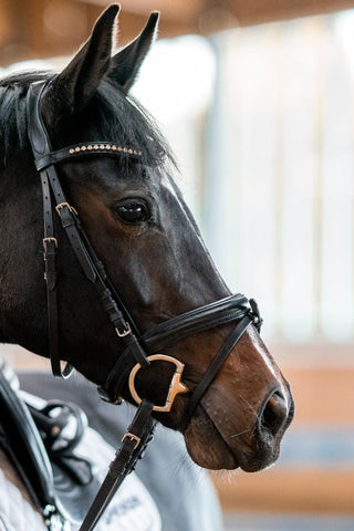 Dynamic 2-Piece Bridoon Bit