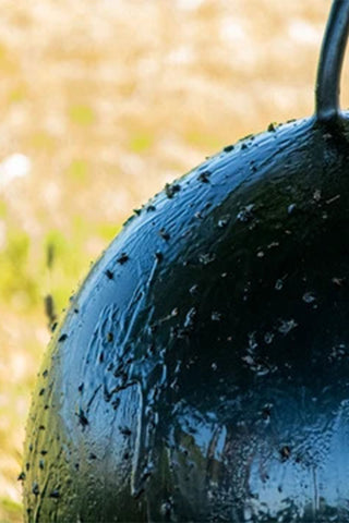 Ball 45cm