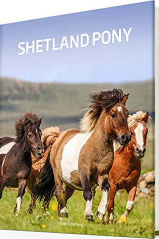 Shetland Pony Book